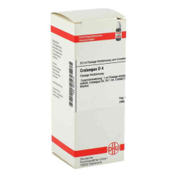 Crataegus D 4 Dilution (50 ml) – PZN 2612173