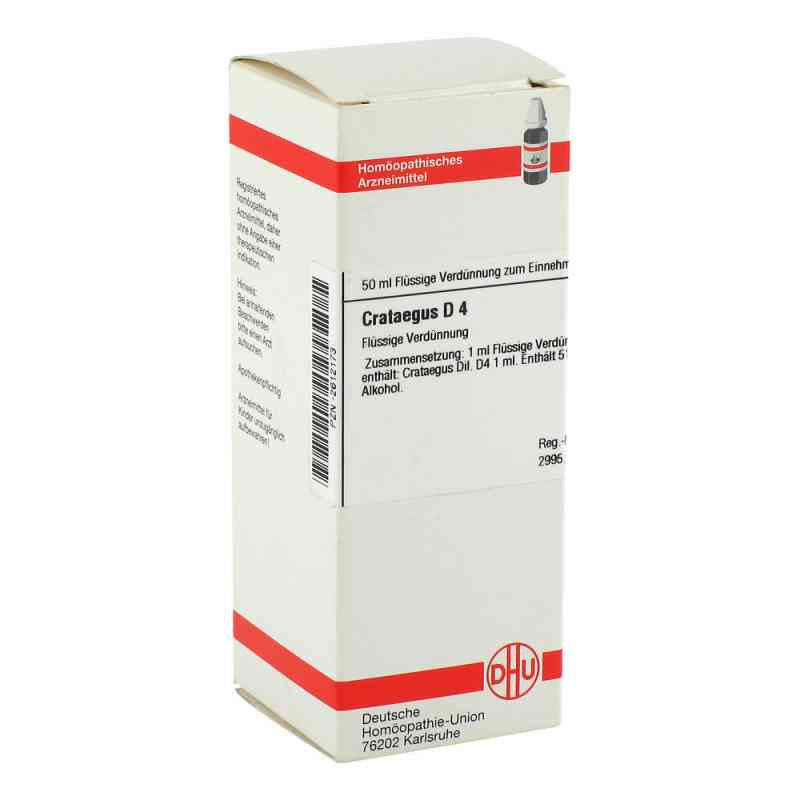 Crataegus D 4 Dilution (50 ml) – PZN 2612173