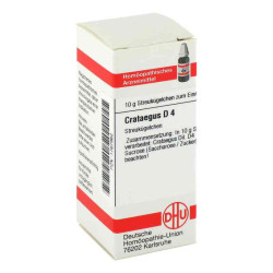 Crataegus D 4 Globuli (10 g) – PZN 1767962