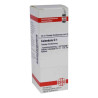 Calendula D 1 Dilution (20 ml) – PZN 4208393