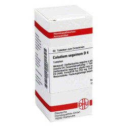 Caladium Seguinum D 4 Tabletten (80 stk) – PZN 2626927