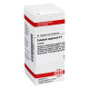 Caladium Seguinum D 4 Tabletten (80 stk) – PZN 2626927