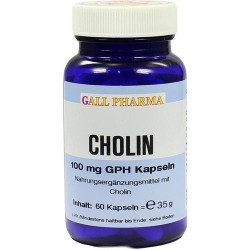 Cholin 100mg GPH, 60 ST – PZN 3378360