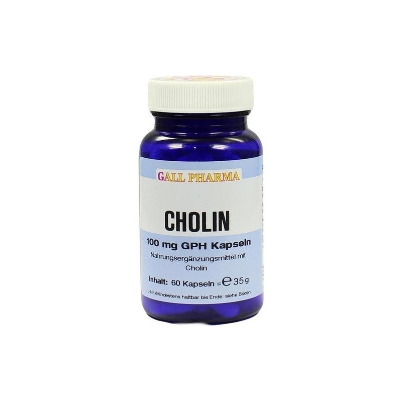 Cholin 100mg GPH, 60 ST – PZN 3378360