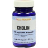 Cholin 100mg GPH, 60 ST – PZN 3378360