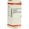 Capsicum D 6 Dilution (50 ml) – PZN 4210220