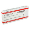 Causticum Hahnemanni D 6 Ampullen (10X1 ml) – PZN 2823496