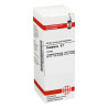 Camphora Urtinktur (20 ml) – PZN 2118013