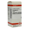 Colocynthis D 4 Tabletten (80 stk) – PZN 4213508