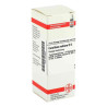 Corallium Rubrum D 6 Dilution (20 ml) – PZN 4213922