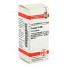 Conium D 200 Globuli (10 g) – PZN 2897230
