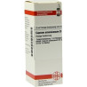 CUPRUM ARSENIC D 8, 20 ML – PZN 2127816