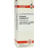 Collinsonia Canadensis D 2 Dilution (20 ml) – PZN 2117373