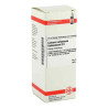 Calcium Carbonicum D 6 Dilution Hahnemanni (50 ml) – PZN 2888739