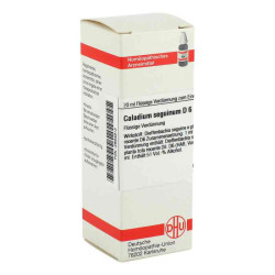 Caladium Seguinum D 6 Dilution (20 ml) – PZN 2894912