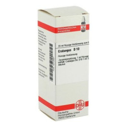 Crataegus D 10 Dilution (20 ml) – PZN 4213997
