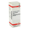 Carica Papaya Urtinktur (20 ml) – PZN 2610085