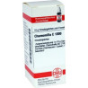 Chamomilla C 1000 Globuli (10 g) – PZN 7164087