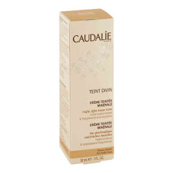 Caudalie Teint Divin Creme Teintee miner.hell (30 ml) – PZN 9291588