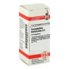 Caulophyllum Thalictroides D 4 Globuli (10 g) – PZN 2890009