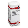 Cinnabaris D 12 Globuli (10 g) – PZN 2813078