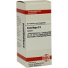 Cimicifuga C 6 Tabletten (80 stk) – PZN 7164851
