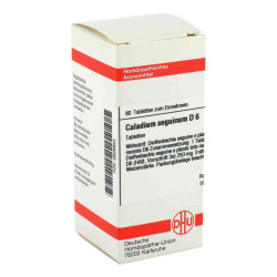 Caladium Seguinum D 6 Tabletten (80 stk) – PZN 2626933
