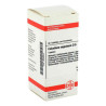 Caladium Seguinum D 6 Tabletten (80 stk) – PZN 2626933