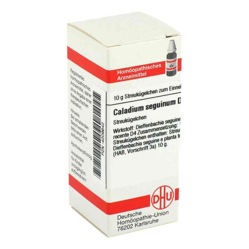 Caladium Seguinum D 4 Globuli (10 g) – PZN 4209642