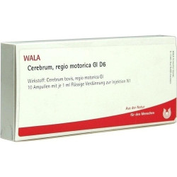 CEREBRUM REGIO MOTO GL D 6, 10X1 ML – PZN 3359842