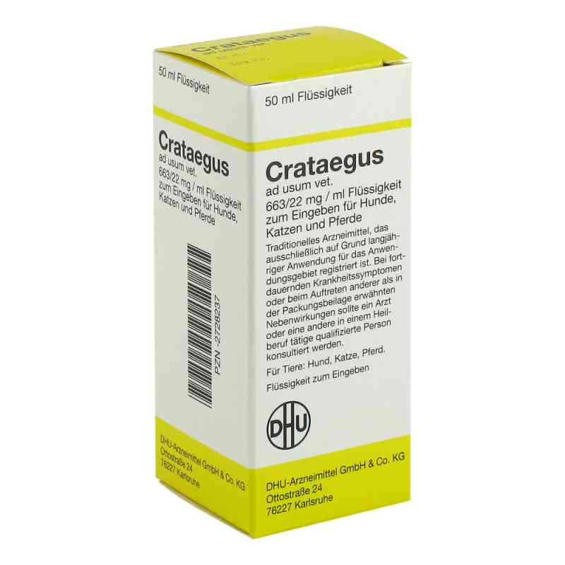Crataegus ad usum veterinär  Dilution (50 ml) – PZN 2728237