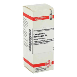 Caulophyllum Thalictroides D 4 Dilution (20 ml) – PZN 2112105