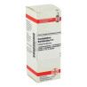 Caulophyllum Thalictroides D 4 Dilution (20 ml) – PZN 2112105