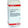 Cresolum D 6 Tabletten (80 stk) – PZN 7165968