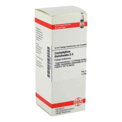 Caulophyllum Thalictroides D 4 Dilution (50 ml) – PZN 2610180