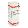Cardiospermum Urtinktur (20 ml) – PZN 4210504