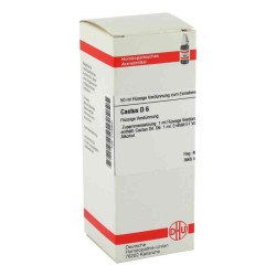 Cactus D 6 Dilution (50 ml) – PZN 2125800