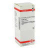 Cactus D 6 Dilution (50 ml) – PZN 2125800