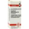 Causticum Hahnemanni D 8 Globuli (10 g) – PZN 7595048