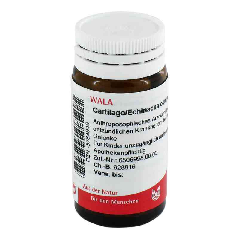 Cartilago/echinacea compositus Globuli (20 g) – PZN 8784946