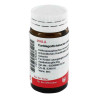 Cartilago/echinacea compositus Globuli (20 g) – PZN 8784946