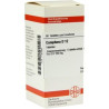 Camphora D 12 Tabletten (80 stk) – PZN 7162993