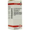 China Regia D 12 Dilution (20 ml) – PZN 4212153