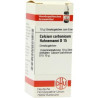 Calcium Carbonicum D 15 Globuli Hahnemanni (10 g) – PZN 7246543