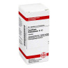 Causticum Hahnemanni D 12 Tabletten (80 stk) – PZN 2112163
