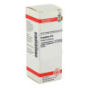 Camphora D 4 Dilution (20 ml) – PZN 2111703