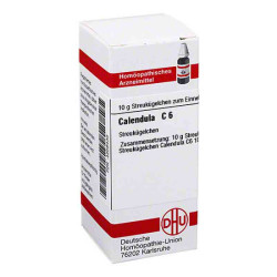 Calendula C 6 Globuli (10 g) – PZN 4208430