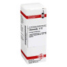 Chamomilla D 12 Dilution (20 ml) – PZN 2112401