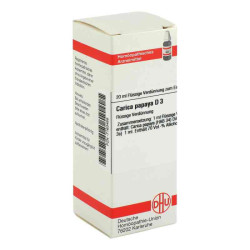 Carica Papaya D 3 Dilution (20 ml) – PZN 7163455