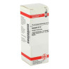 Conium D 12 Dilution (20 ml) – PZN 2113352